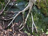 Burnt Rock 012